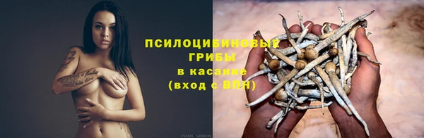 молекула духа Алзамай