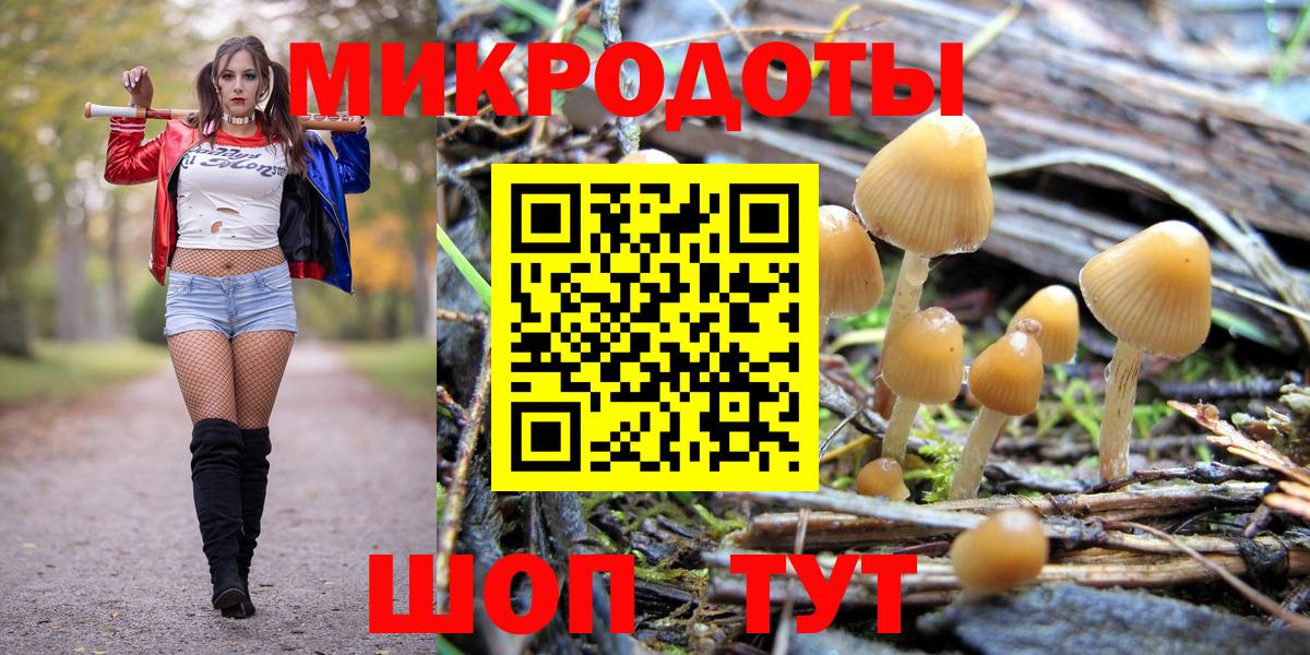 Галлюциногенные грибы Psilocybine cubensis  Вход с VPN  Сарапул 