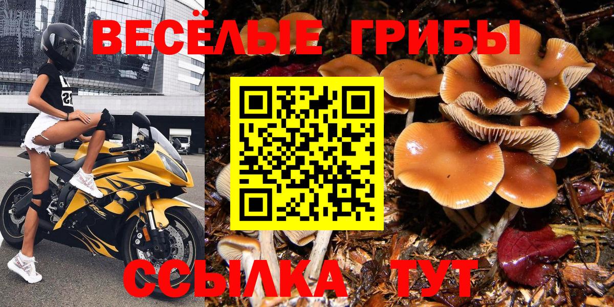 Галлюциногенные грибы мицелий Сарапул